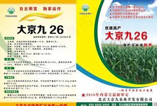 玉米彩页 青贮彩页图片