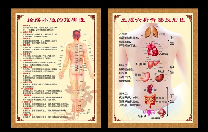 五脏六腑背部反射图图片cdr矢量模版下载