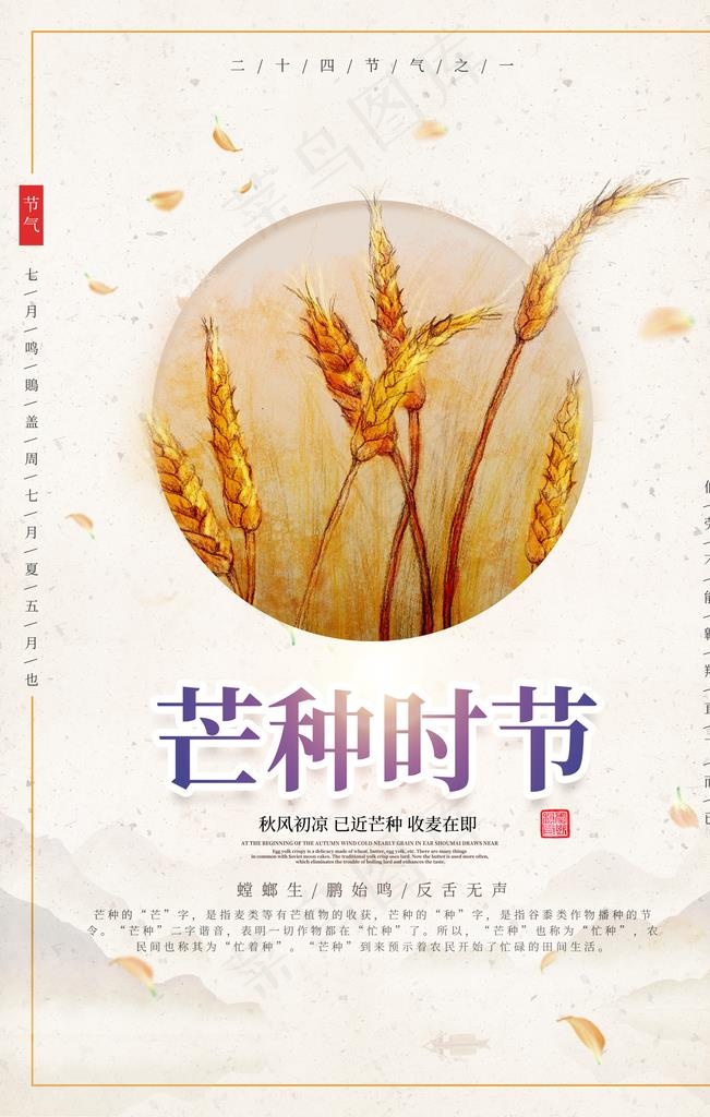 芒种图片(2362X3543(DPI:100))psd模版下载