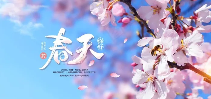 春天图片