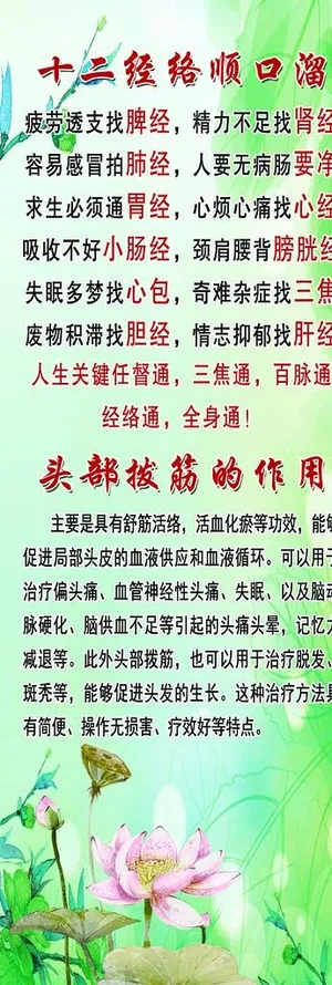 十二经络顺口溜图片