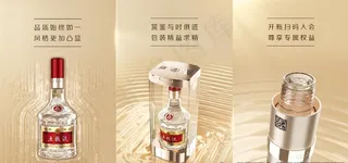 五粮液八代酒海报图片