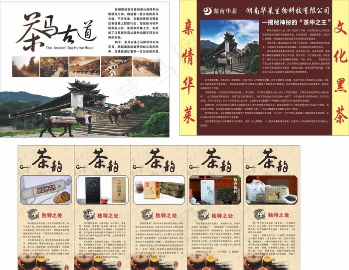 茶马古道  黑茶图片(210X297)cdr矢量模版下载