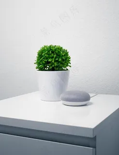 桌面绿植图片 桌面绿植图片