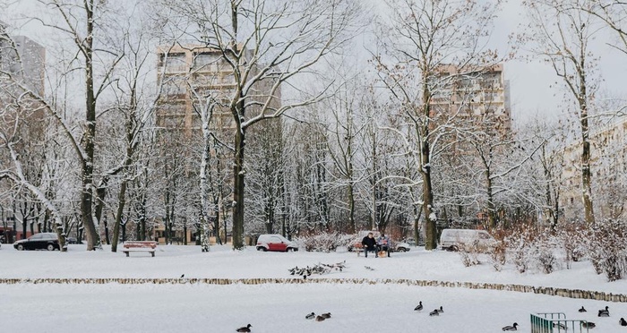 雪景公园雪景唯美图片