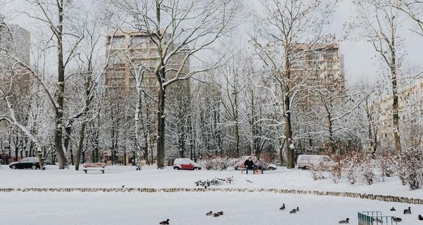 雪景公园雪景唯美图片