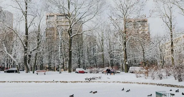 雪景公园雪景唯美图片