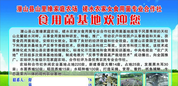 食用菌基地欢迎您图片(3500X1800)cdr矢量模版下载