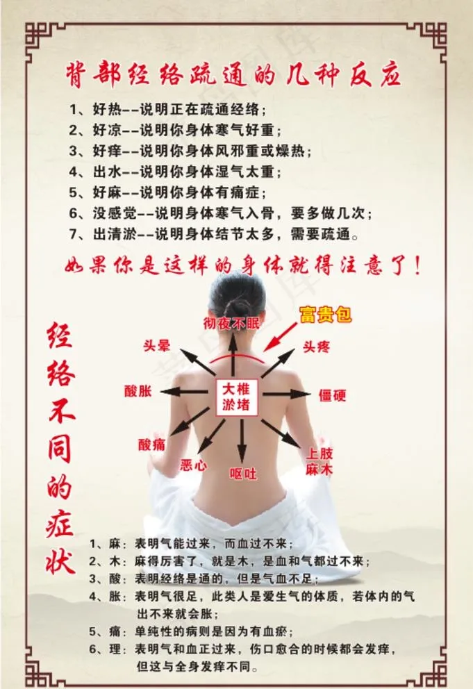 背部经络疏通图片(210X297)cdr矢量模版下载