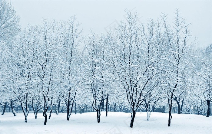 雪景图片