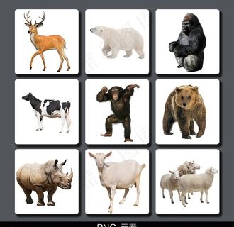 动物免抠元素图片