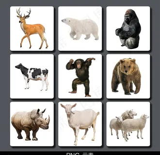 动物免抠元素图片