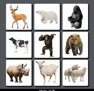 动物免抠元素图片