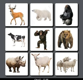 动物免抠元素图片