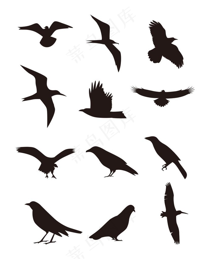 鸟类剪影图片