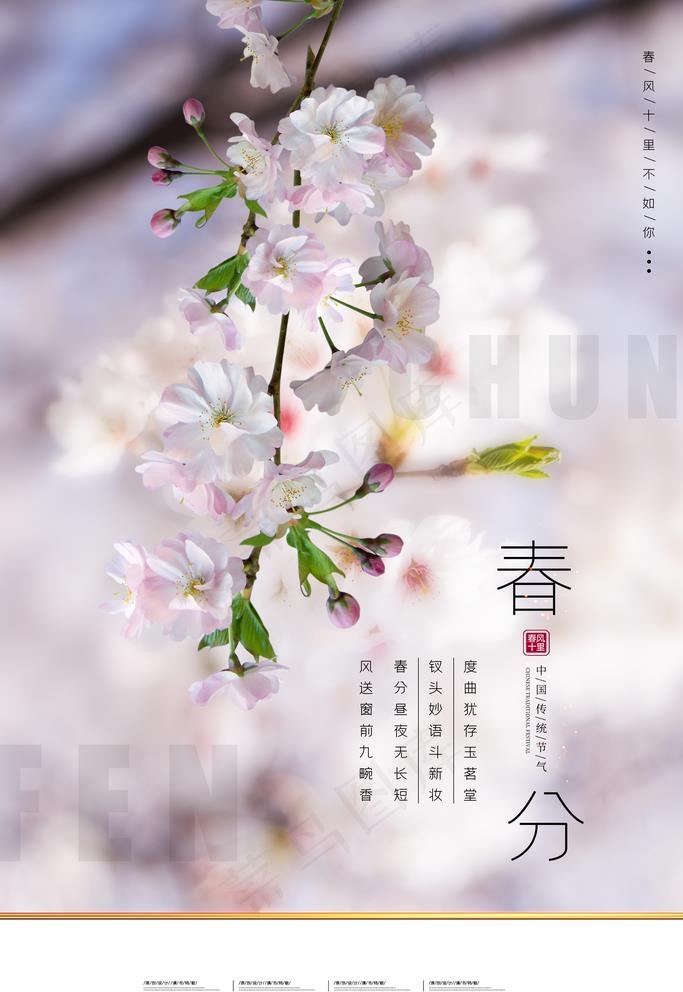 春分海报图片