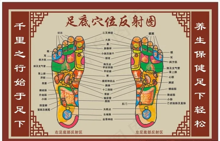 足底穴位反射图图片cdr矢量模版下载
