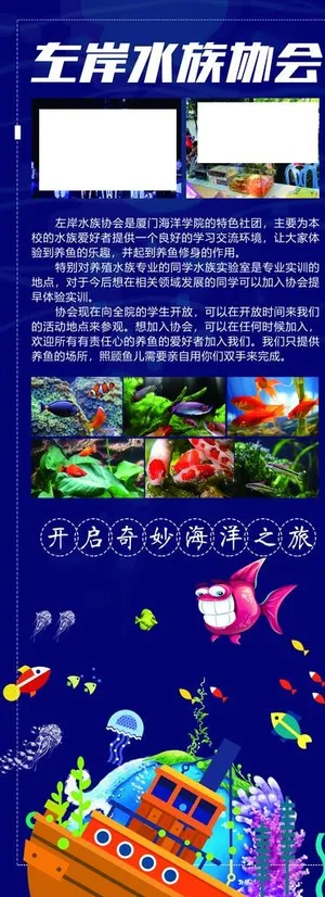 水族馆图片