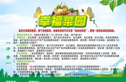 菜园 农场  采摘  海报图片