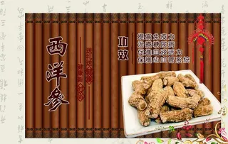 西洋参图片