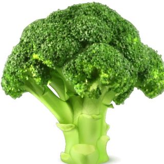 矢量西兰花图片