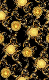 大牌印花  范思哲图片