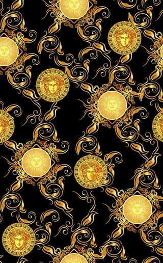 大牌印花  范思哲图片