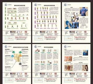 腰椎疾病恢复防御普及知识图片