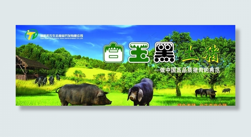 白玉黑土猪图片