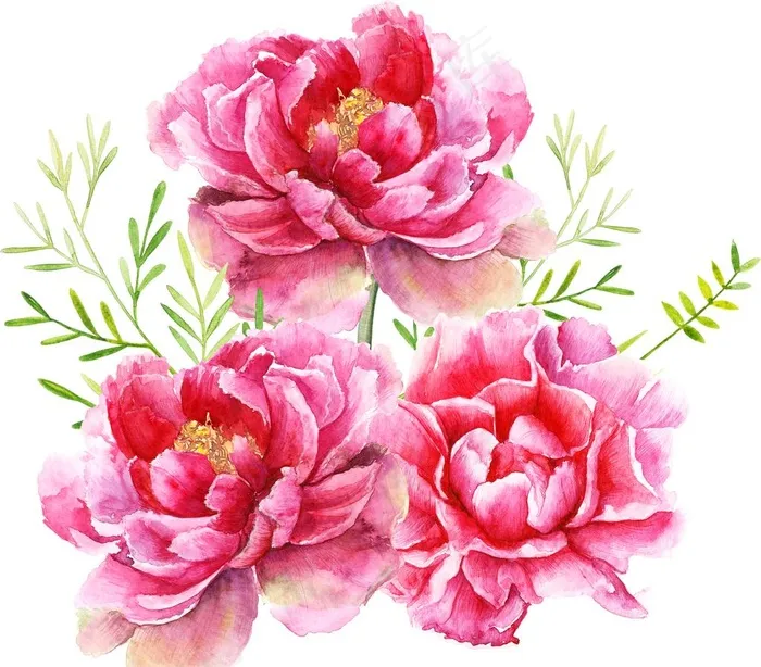 手绘花图片