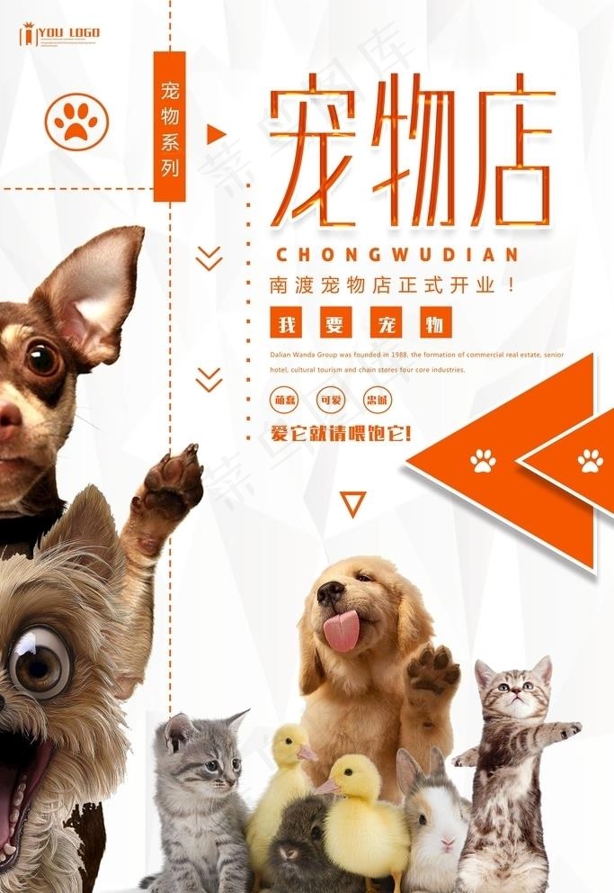 宠物海报图片(3543X5315(DPI:150))psd模版下载