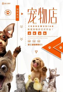 宠物海报图片