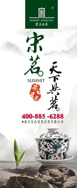宋茗白茶易拉宝海报图片