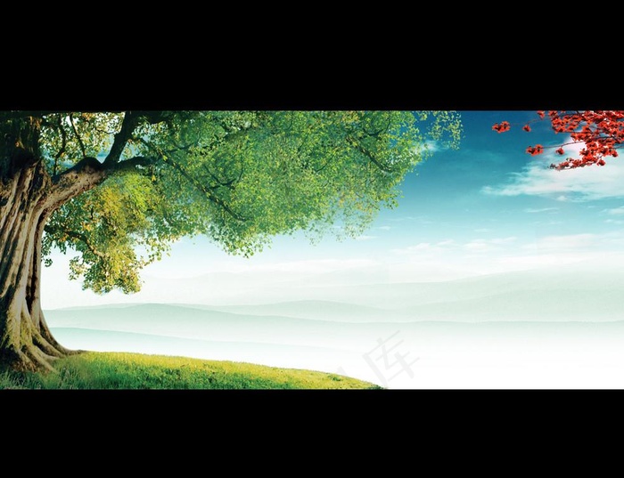 参天大树图片(6803X2551(DPI:300))psd模版下载