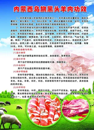 羊肉海报图片