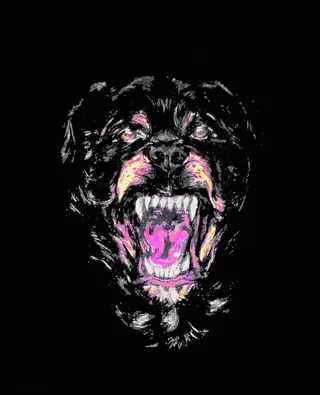 纪梵希  恶犬图片