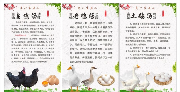 土鸡海报图片(500X800)cdr矢量模版下载