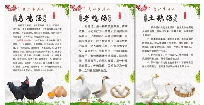 土鸡海报图片(500X800)cdr矢量模版下载