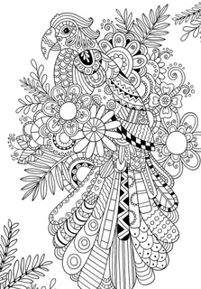 秘密花园 填色卡图片