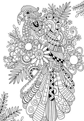 秘密花园 填色卡图片