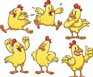 鸡图片