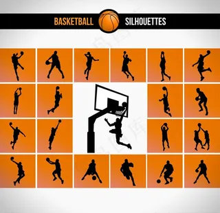 篮球相关图片