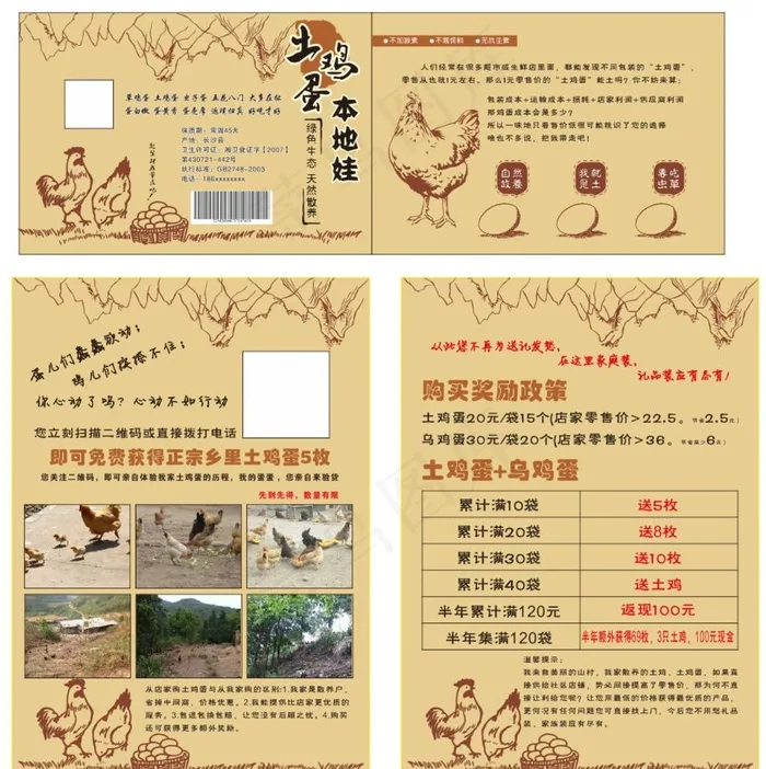 土鸡蛋宣传单页图片cdr矢量模版下载