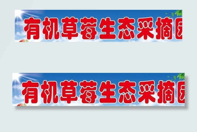 草莓采摘园图片