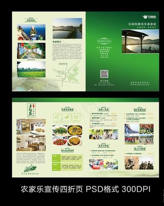农家乐宣传四折页 DM单图片