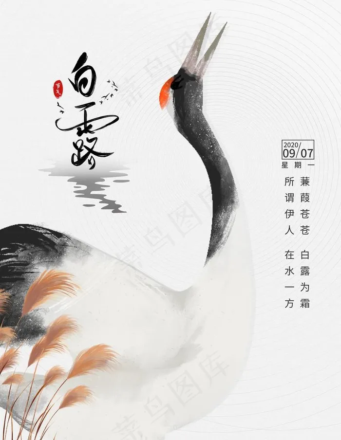 白露图片(3544X4725(DPI:150))psd模版下载