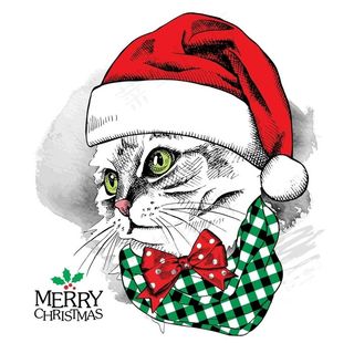 圣诞猫头图片