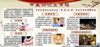 中医知识宣传栏图片