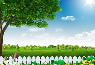 绿化护栏草地风景高清图片