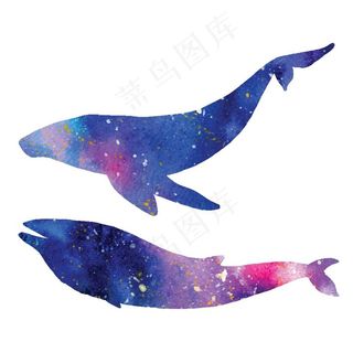 炫彩渐变鲸鱼图案图片